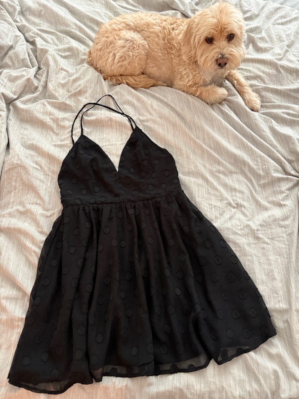 re:named Black Dress with Pink Label